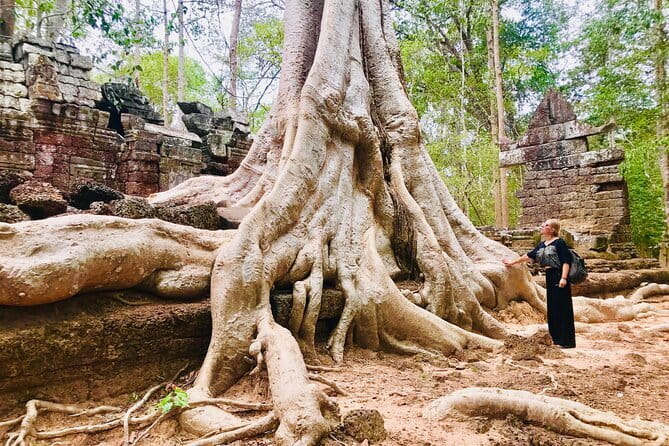 1-Day Angkor Wat Cycling Tour: Scenic Bike Adventure in Siem Reap - Ta Nei’s peaceful forest feel