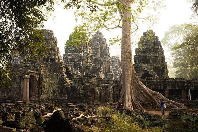 1-Day Angkor Wat Cycling Tour: Scenic Bike Adventure in Siem Reap - Ta Prohm: the jungle temple everyone recognizes