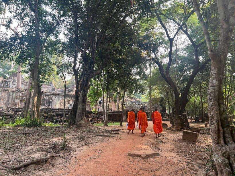 1-Day Angkor Wat Private Tour with Spanish Tour Guide. - How the day flows: Angkor Wat to Ta Prohm (with real breaks)
