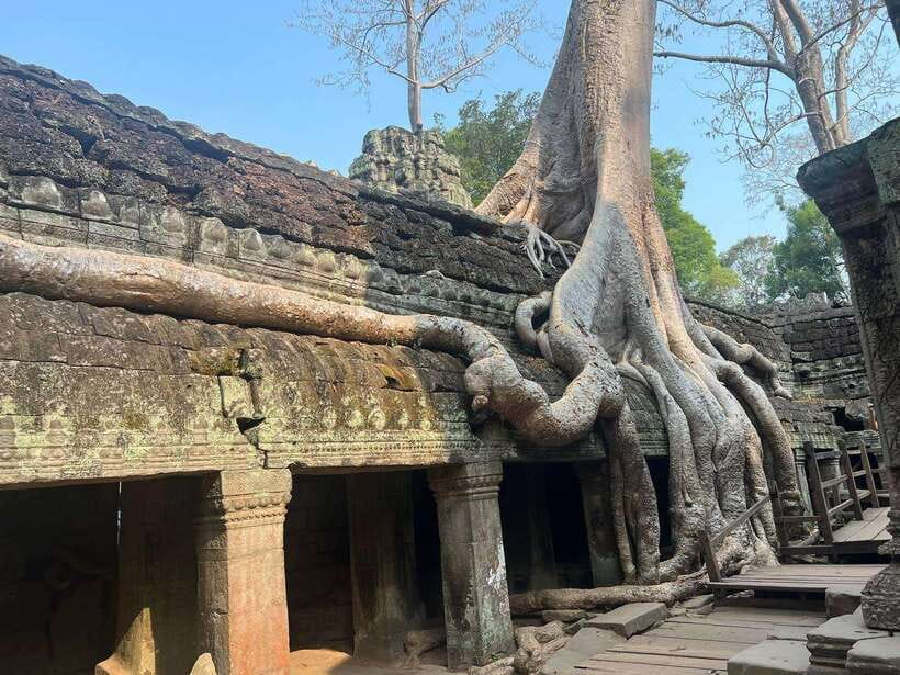 1-Day Angkor Wat Private Tour with Spanish Tour Guide. - What to bring (and the rules to follow at Angkor)
