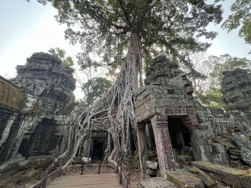 1-Day Angkor Wat Private Tour with Spanish Tour Guide. - Should you book this 1-day Angkor Wat private tour?