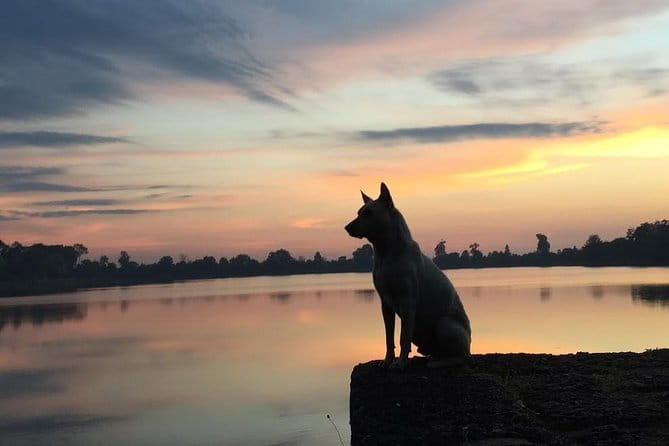 1 Day Angkor Wat with Sunrise Tour - Bayon Temple: stone faces with time to slow down