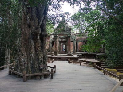 1-Day private Angkor Temple Tour from Siem Reap - Morning pickup and how the day stays cool