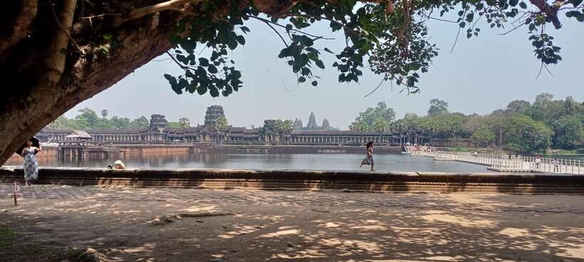 1-Day private Angkor Temple Tour from Siem Reap - Ta Prohm in the afternoon: trees, ruins, and better photo time