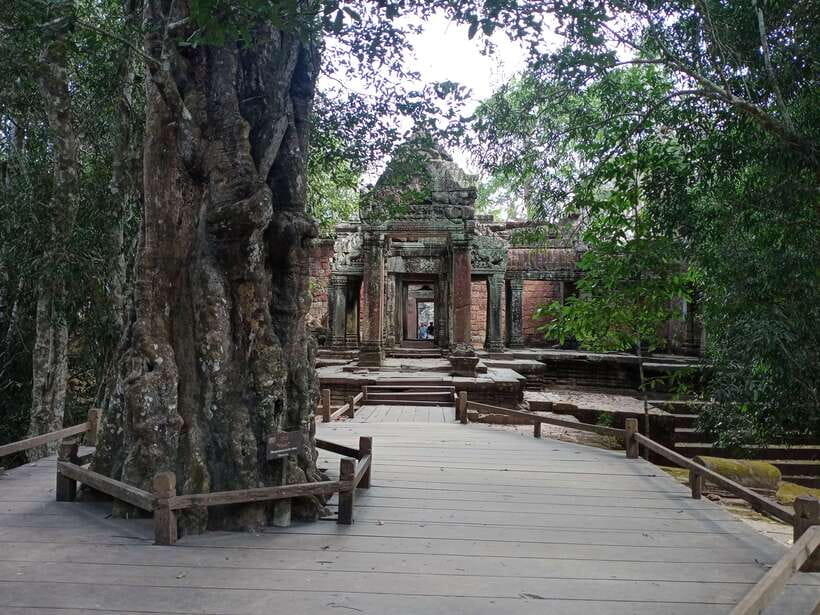 1-Day private Angkor Temple Tour from Siem Reap - Morning pickup and how the day stays cool