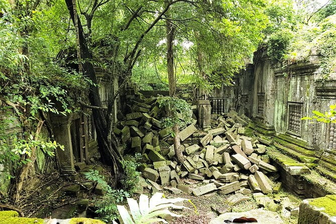 1 day special Tour: Angkor Wat,Bayon,Ta Prohm, Bantey srei and Beng Mealea - Quick hits you’ll feel right away
