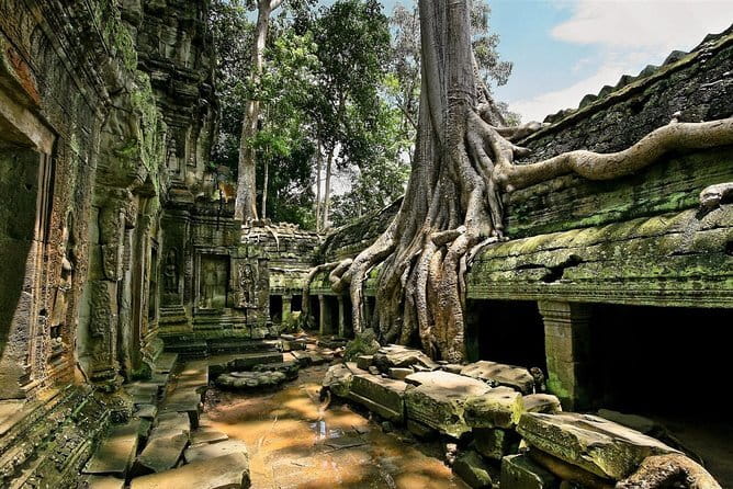 1 day special Tour: Angkor Wat,Bayon,Ta Prohm, Bantey srei and Beng Mealea - Beng Mealea Prasat: a jungle ruin start that feels less staged