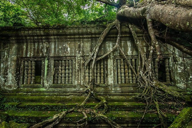 1 day special Tour: Angkor Wat,Bayon,Ta Prohm, Bantey srei and Beng Mealea - Bayon’s Buddha faces and Ta Prohm’s tree roots: where the vibe changes