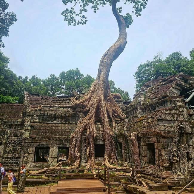 1-Day Trip to Angkor Wat with a Private or Shared Guide in Spanish - Key highlights you’ll feel right away