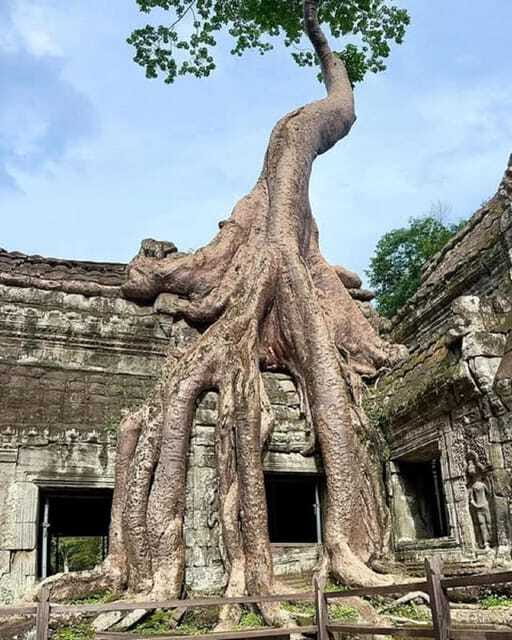 1-Day Trip to Angkor Wat with a Private or Shared Guide in Spanish - Angkor Wat at the end: what to ask your guide