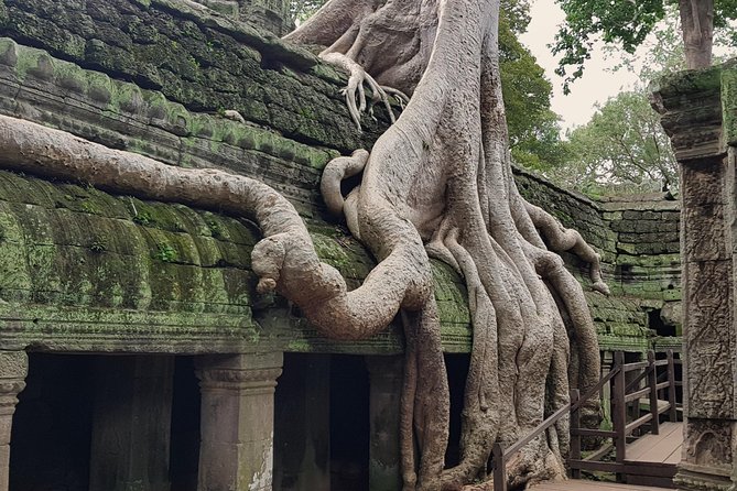 1day Private tour, Angkor sunrise,all main temples, Banteay srei - Banteay Srei: carvings and a quieter, more delicate side