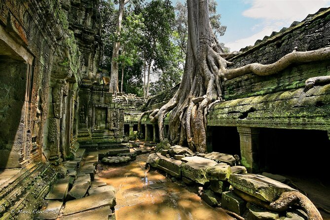 1day private tour to all majestic Temples in Angkor and Sunset - Phnom Bakheng Sunset: The Walk, the Waiting, and the Payoff