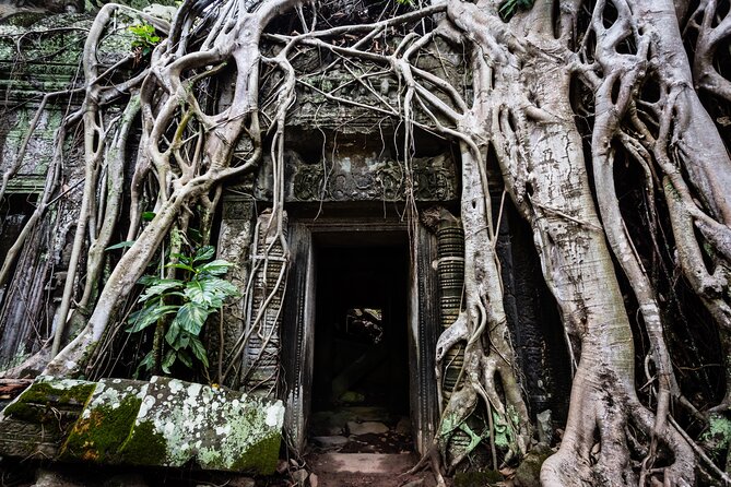 2-Day : Angkor Sunrise, Kompong Phluk Sunset & Banteay Srei Tour - Banteay Srei: the far-flung pink sandstone temple that feels more detailed than big
