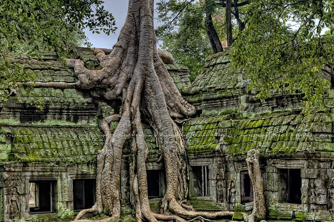 2-Day Angkor Wat, Banteay Srei & Floating Village Kampong Pluk - Day 1: Angkor Wat, Ta Prohm, and the warm-up circuit