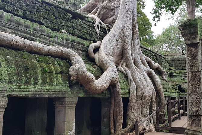 2 Day private tour: Small tour, Big tour, sunrise and sunset,floating village. - Bayon and Ta Prohm: The Faces and the Jungle Roots