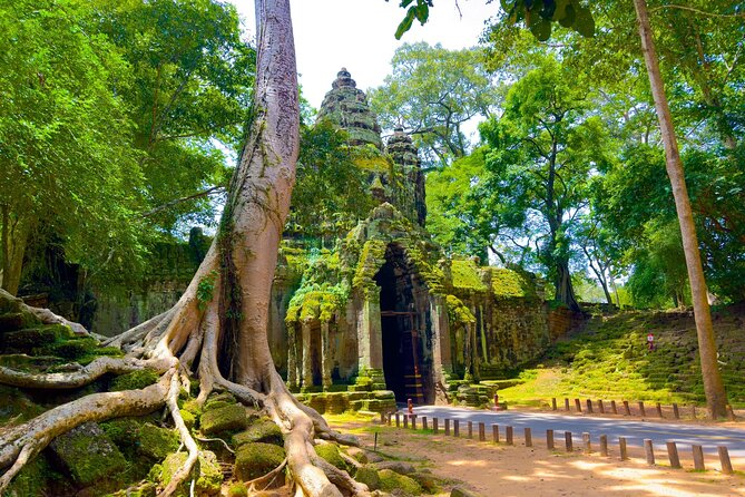 2 Days Exclusive Temple Highlights with Sunset and Sunrise Tour - Food Stops: What’s Included, What’s Not, and How to Handle It