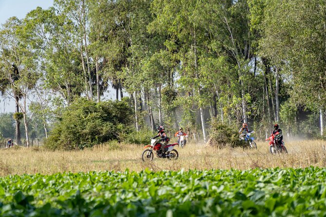 5 Days - Cambodia Ancient Trails & Jungle Temples - Day 4: Sambor Prei Kuk Forest Trails and Pre-Angkorian Stops