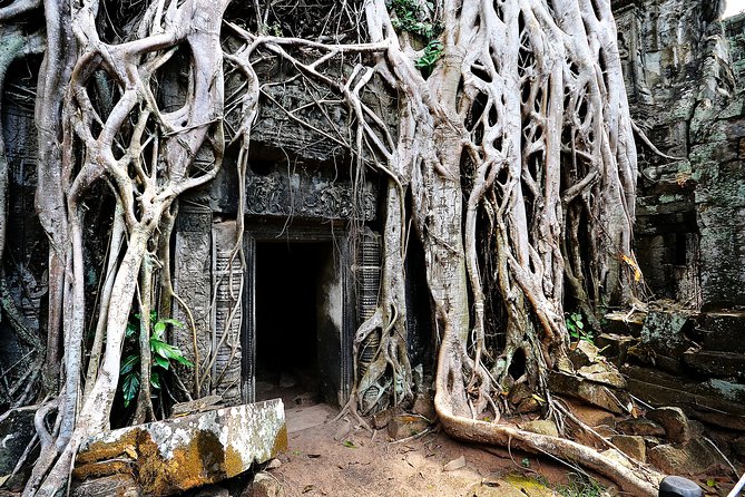 7-must See Temples in Angkor Park (Private Guided Tour) - Stop 5: Banteay Srei and its pink sandstone glow