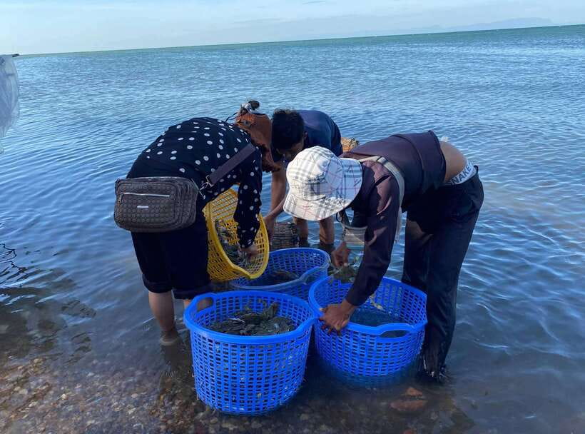 A Day Trip to Kep Beach and Kampot from Phnom Penh - Fresh Fish Market and the Seahorse photo stop: quick hits that set the tone