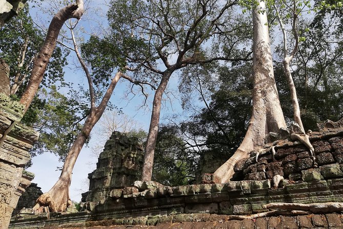 Afternoon Angkor Wat Private Tour with Sunset - Price and Value: Is $59 a Good Deal for This Route?