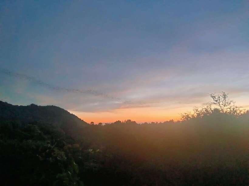 Afternoon Tour: Bamboo Train, Killing Cave &Bat Cave - Bat Cave at sunset: planning for the million-bat exit