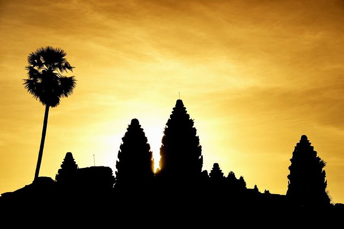 Angkor 2-Day Sunset & Sunrise Small-Group Tour - Ta Prohm: The Temple That Looks Like Time Paused