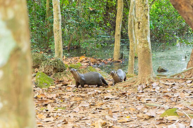 Angkor Bike & Gondola Ride at Twilight - Angkor Thom on Two Wheels: Avoiding the Crowd Crush