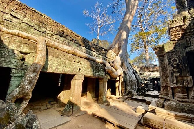 Angkor Cab: Siem Reap 3 day private tour: 'off the beaten track' - Day 3: Beng Mealea’s raw feel, plus Bakong and Preah Ko