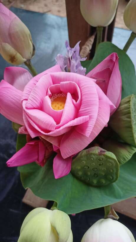 Angkor Silk Farm & Lotus Silk Farm: Siem Reap Discovery Tour - Quick Hits: What Makes This Silk Tour Worth Your Half-Day