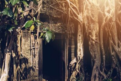 Angkor Thom Ta Prohm and Sunset in Angkor Wat Golden Hour Tour - Ta Prohm: Tree Roots, Tomb Raider Spots, and Weird Carvings