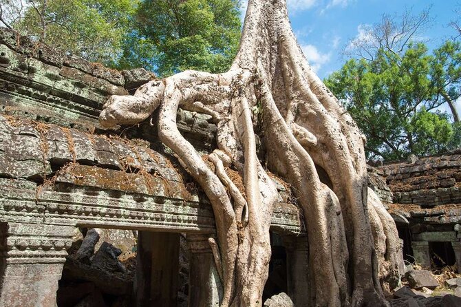 Angkor Thom Ta Prohm and Sunset in Angkor Wat Golden Hour Tour - Who Should Book This Tour (And Who Might Want Something Else)