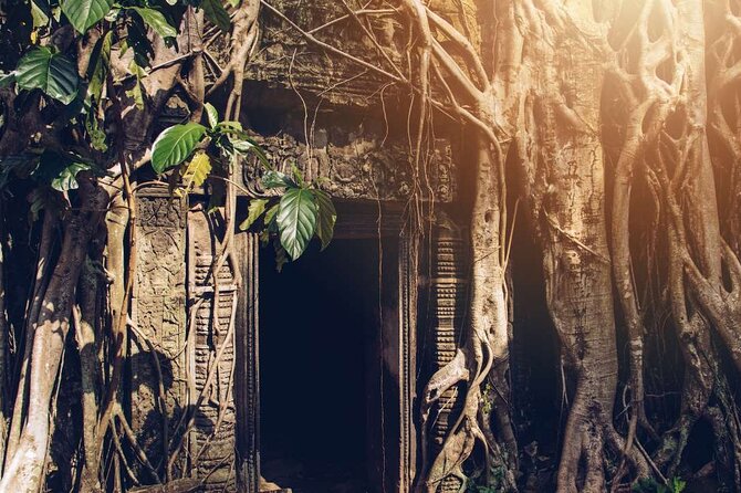 Angkor Thom Ta Prohm and Sunset in Angkor Wat Golden Hour Tour - Ta Prohm: Tree Roots, Tomb Raider Spots, and Weird Carvings