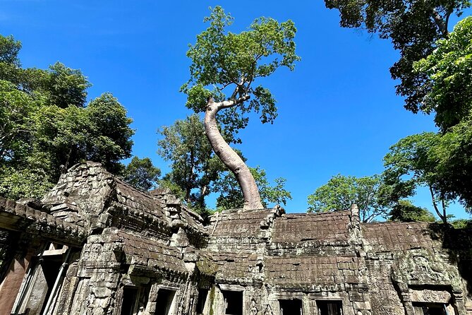 Angkor Wat 1-Day Tour by Private Car or Minivan - Comfort and planning tips so you don’t waste your best hours