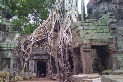 Angkor Wat 2-Day Tour - Day 1: Angkor Wat, then Angkor Thom’s South Gate to Baphuon