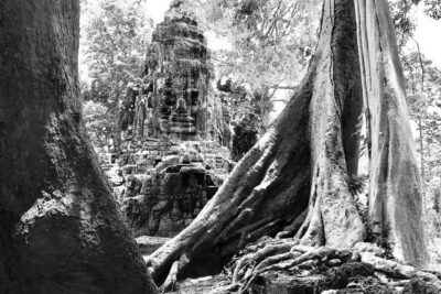 Angkor Wat & Banteay Srei 1-Day Tour - Angkor Thom from Victory Gate to the Elephant Terrace