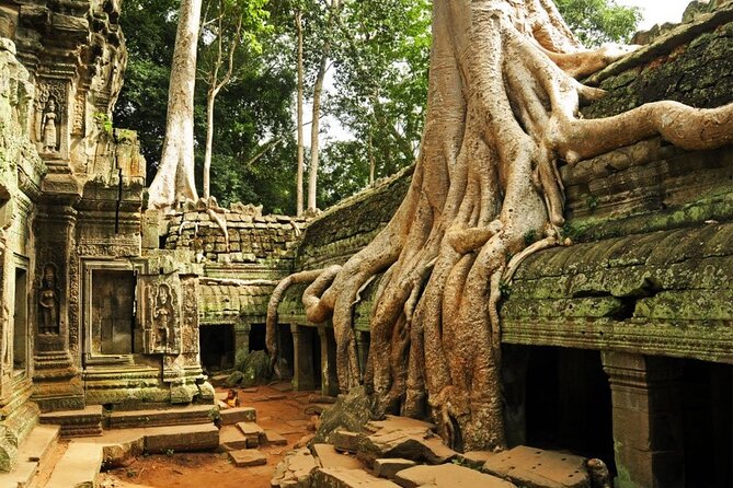 Angkor Wat full Day 'Small Group with sunset & Tour Guide - Stop 3: Ta Prohm—Tomb Raider temple, minus the chaos