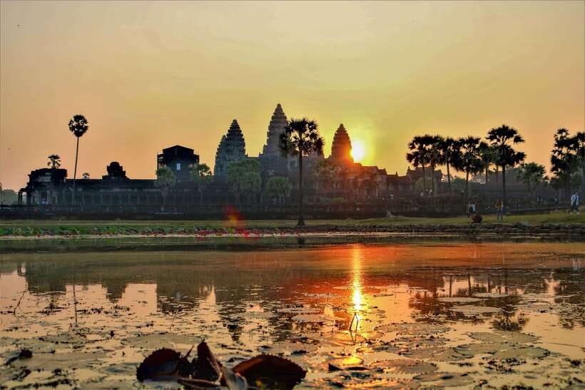 Angkor Wat: Highlights and Sunrise Guided Tour - Ta Prohm, Angkor Thom, and Bayon: roots, gates, and 200+ faces