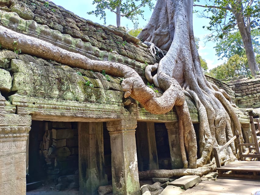 Angkor Wat: Highlights and Sunrise with Spanish Guide - Ta Prohm: jungle-covered stones and the story of 2,740 monks