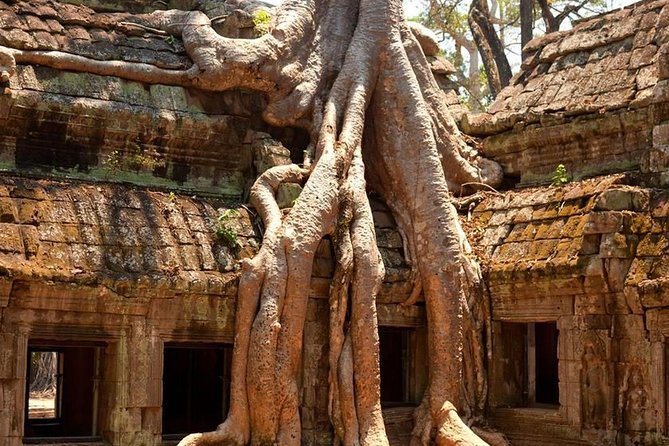 Angkor Wat Private Day Tour - Price and Value: What $45 Covers (and What It Does Not)