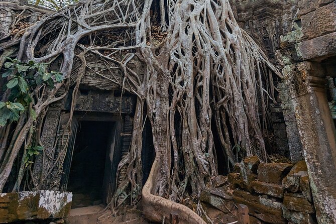 Angkor Wat Private Tuk-Tuk Tour (sunrise Option) & more - Your driver experience: safety, English, and real flexibility