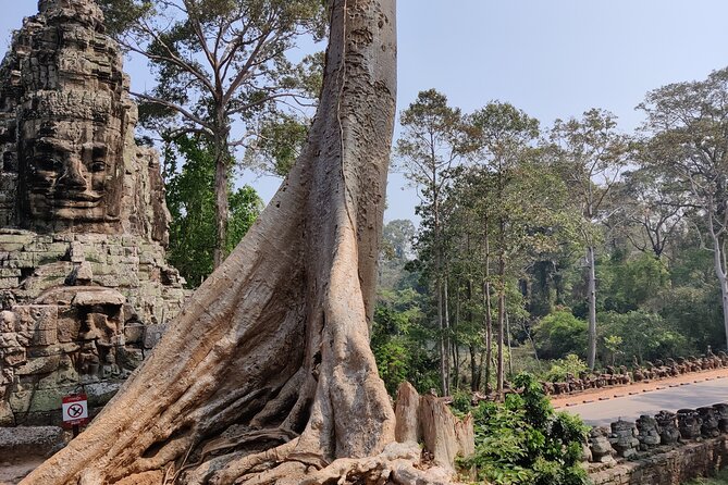 Angkor Wat Private Tuk-Tuk Tour (sunrise Option) & more - Who this tour suits best (and who should think twice)