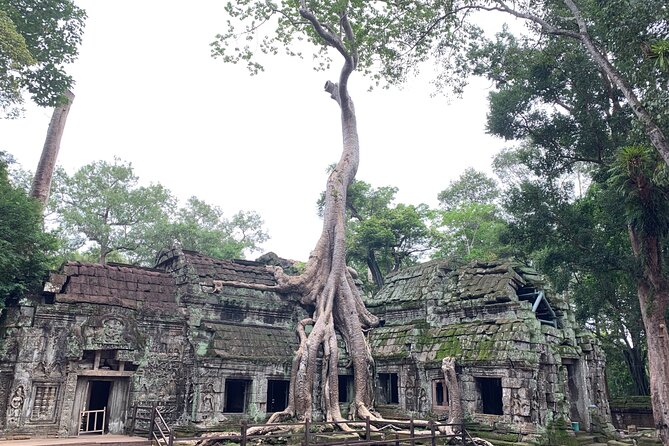 Angkor Wat Small Circuit & Sunset Tour - Stop 4: Ta Keo, a short climb for big “where am I?” views