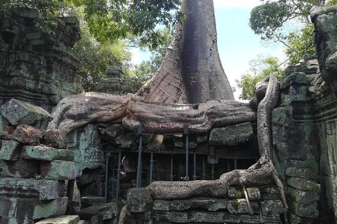 Angkor Wat Small Circuit Tour - The guides make the experience: how English commentary changes Angkor