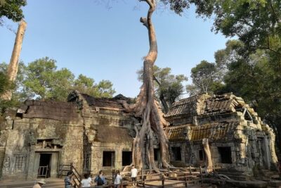 Angkor Wat Small Circuit Tour - Price and logistics: what $47.44 really covers