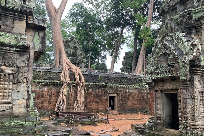 Angkor Wat Small Circuit Tour - Stop 3: Ta Prohm (about 1 hour) and the Tomb Raider pull