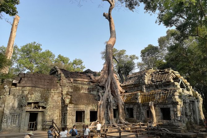 Angkor Wat Small Circuit Tour - Price and logistics: what $47.44 really covers