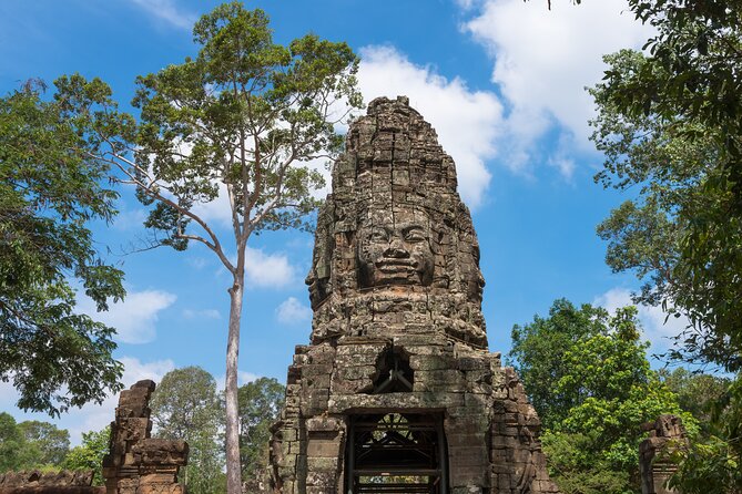 Angkor Wat Small Group Tour Inclusive lunch - Ta Prohm’s jungle feeling: the ruins that refuse to stay quiet