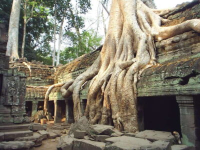 Angkor Wat: Small-Group Tour with Balloon Ride and Lunch - Getting ready: tickets, pickup timing, and what to wear