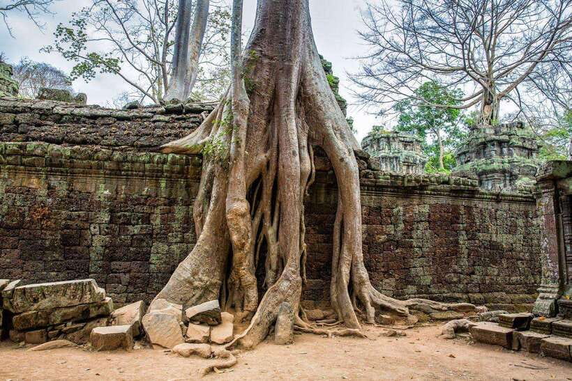 Angkor Wat Small Tour Sunrise With Private Tuk Tuk - The Driver Experience: English Help, Water, and How Explanations Work