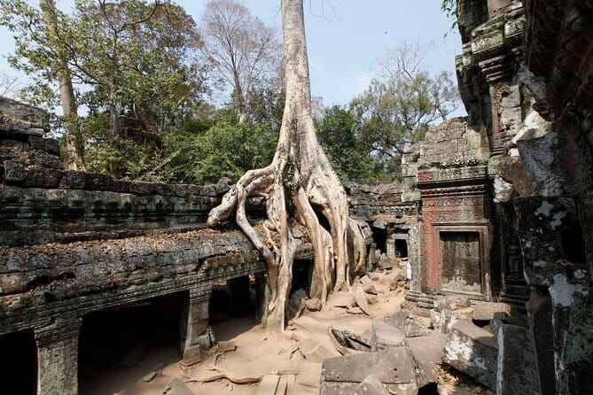 Angkor Wat & Small Tour with Bonteay Srei Temples - Ta Prohm: The Jungle-Temple Effect Up Close
